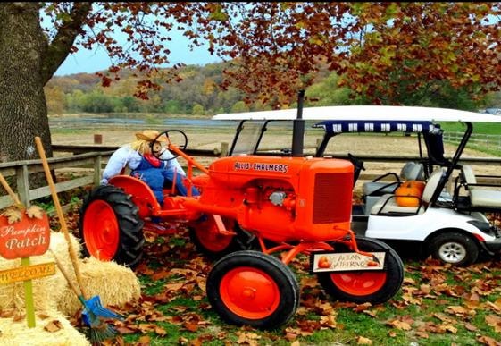 Fall Roundup at the Equestrian Center